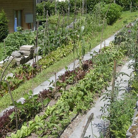 Eco-Hotel Cristallina Coglio Εξωτερικό φωτογραφία