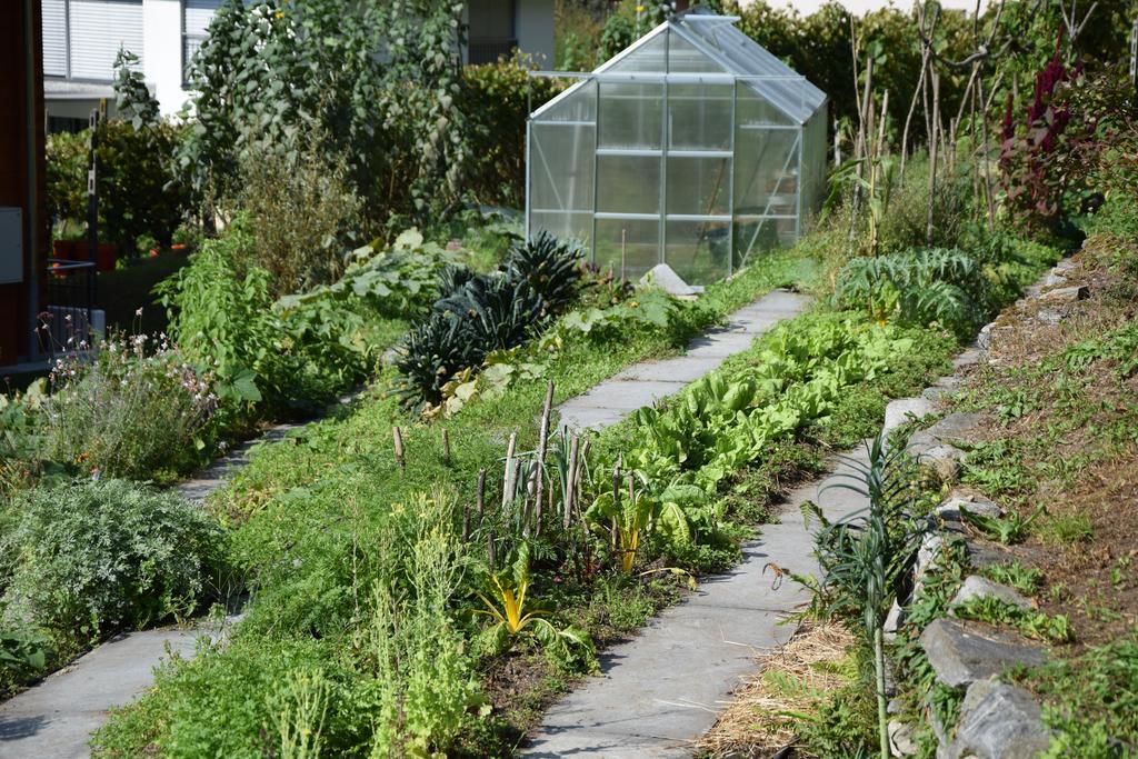 Eco-Hotel Cristallina Coglio Εξωτερικό φωτογραφία