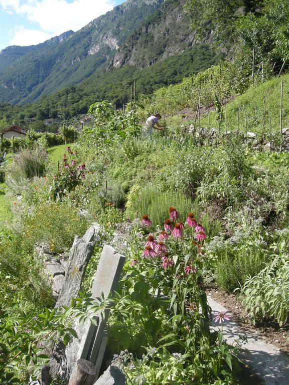 Eco-Hotel Cristallina Coglio Εξωτερικό φωτογραφία