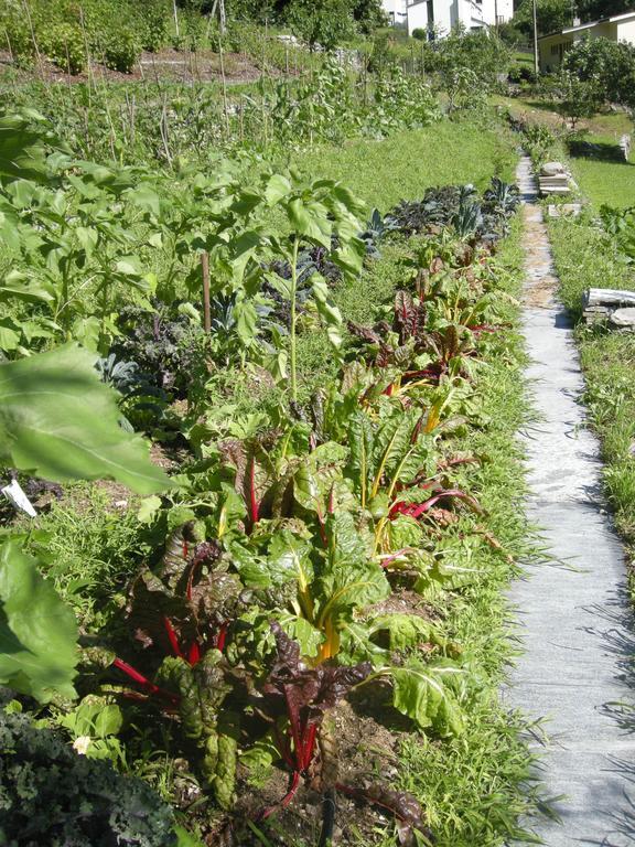 Eco-Hotel Cristallina Coglio Εξωτερικό φωτογραφία